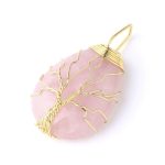 | people ​planet  x star